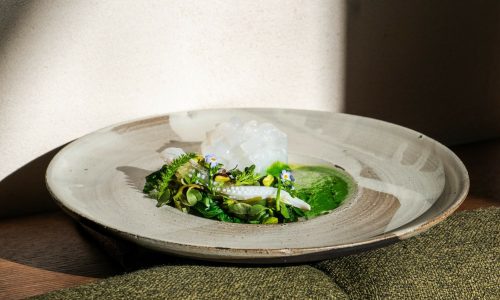 Encornets, mousse de chrysanthème, blettes, pourpier, pistache et citron caviar