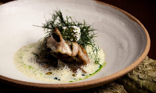 Ormeaux de plongée, oreille de cochon, fenouil, chanterelles, sauce thé vert