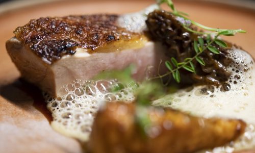 Suprême de pintade, morilles, panais rôti, émulsion de safran, Vesce à 2 graînes